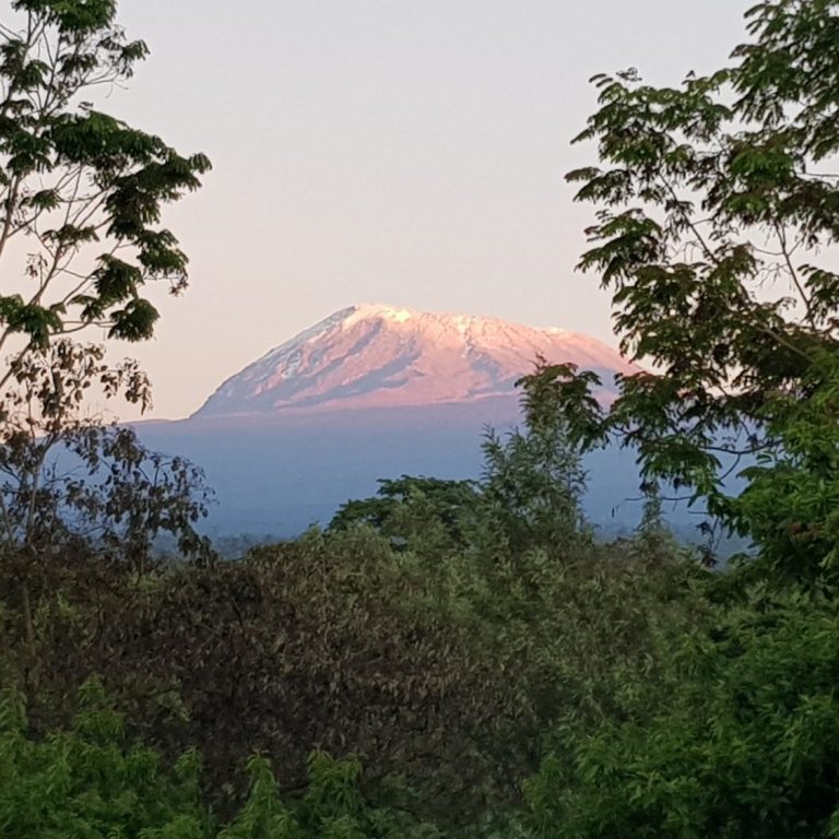 Booking @Kilimanjaro Village Hotel