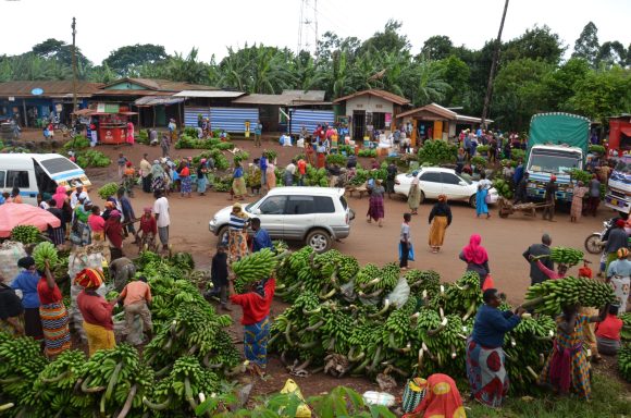 Mwika´s market (Tue + Fri)