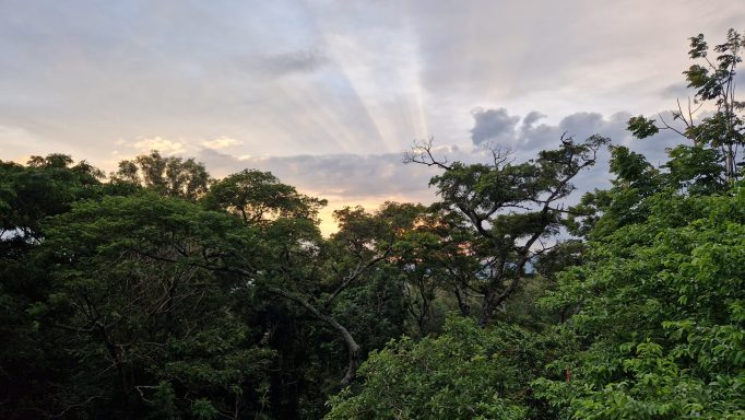 Sunset on Rooftop